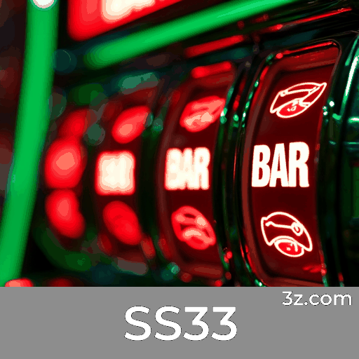 SS33