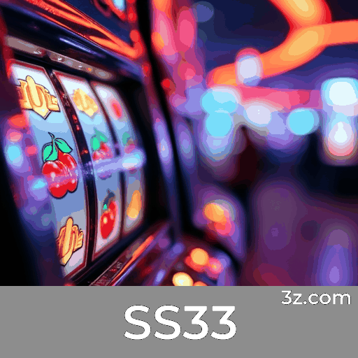 SS33